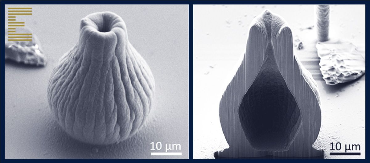 Microscale 3D printed metal hollow object, sliced by FIB