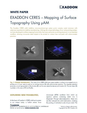 Exaddon CERES - surface mapping white paper