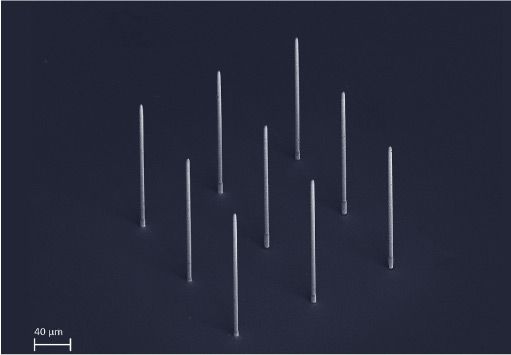 3D printed array of micropillar electrodes for neuroprosthetics