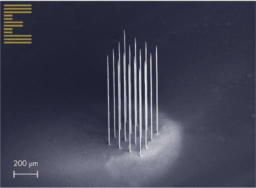 A 500 µm height microneedle array 3D printed with the CERES system. 